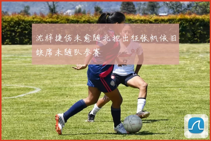 沈梓捷伤未愈随北控出征张帆依旧缺席未随队参赛